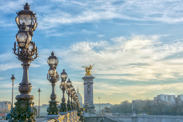 Fototapeta na wymiar Bridge of Alexandre III in Paris, France.