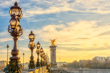 Fototapeta na wymiar View on the Bridge of Alexandre III across Seine River in Paris at sunny evening, France.