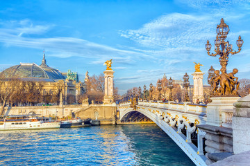 View of Alexandre III Bridge and Grand Palais (Grand Palace) across the Seine River, Paris, France - obrazy, fototapety, plakaty