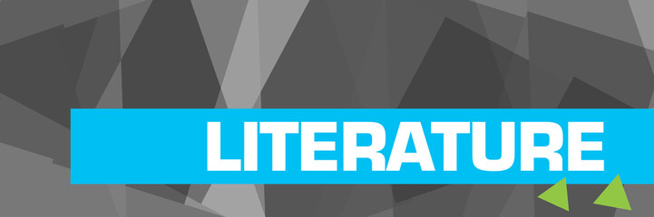 Literature Grey Blue Stripe Triangle 