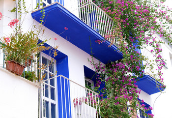 Typical Andalusia Spain whitewashed house with balcony and flowers