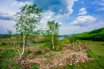 Obraz premium Birch trees in a river valley through a fisheye