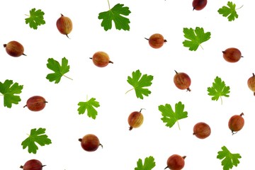 gooseberry berry pattern. Ripe brown gooseberry berries and green leaves isolated on white background