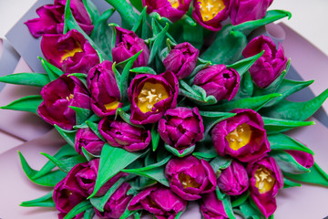 Fototapeta na wymiar The close up of bright pink tulips flowers bouquet