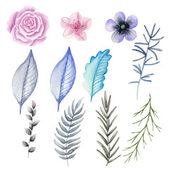  Magic unusual watercolor flowers, plants and flower wreaths