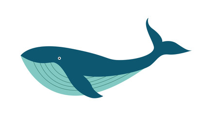 Illustration of cute cartoon whale