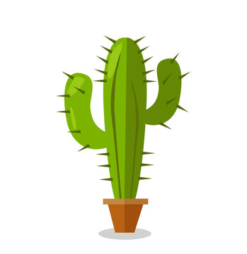 Cactus plant vector illustration