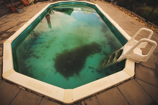 Neglected swimming pool with green algae