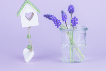 Violette Traubenhyazinthen in einem Glas vor lila Hintergrund mit einem kleinen Holzhaus.