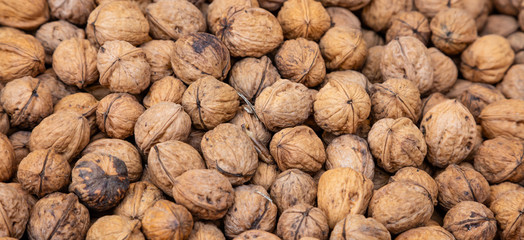 Whole walnuts with shell background, texture, banner