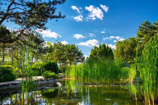 Image of Japanese Garden located on Margit Island of Budapest, Hungary during sunny summer day