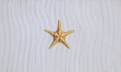 Fototapeta na wymiar Starfish on a clean tropical beach