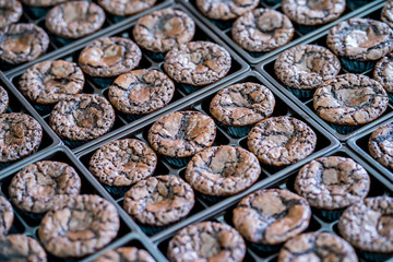 Brownies placed in a tray