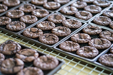 Brownies placed in a tray