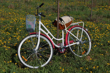Fototapeta premium Bicycle stands in the spring glade. Next tourist backpack. Dandelions are blooming.