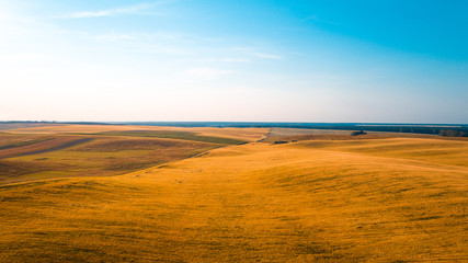 the green field is at sunset shot with the drone
