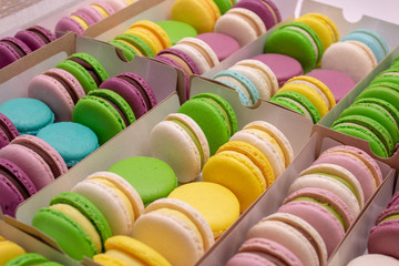 many colored macaroons