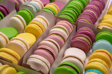 many colored macaroons