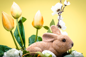 Easter bunny, spring easter background