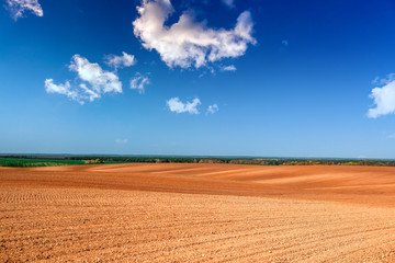 Ploughed field in spring prepared for sowing