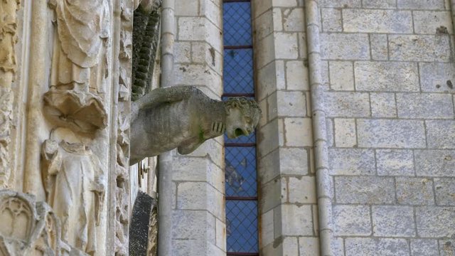 Detail of a gargoyle at Saint Pierre Cathedral. Poitiers. France. Moving camera. Low angle shot