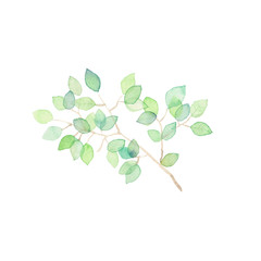 Obraz premium 木漏れ日、素材