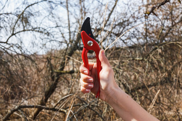 The girl is holding a red pruner in the garden