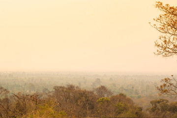 Obraz premium The nature that was controlled by smog