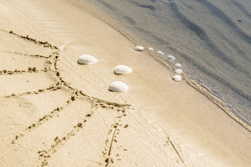 Children's drawing of a smiling sun with shells on the sand on the beach