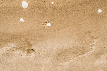 Footprints in the sand on the beach close-up - summer vacation concept