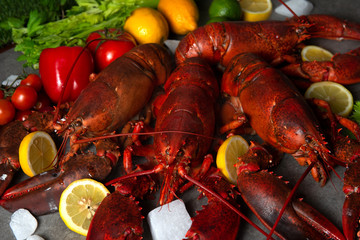 various raw lobster seafood with black background
