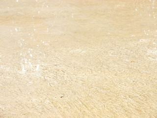 Rain that falls naturally on the background, the atmosphere gives a quiet feeling.