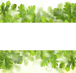 Green leaves border with white empty background