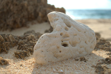 Coral　zoomup　Okinawa　scenery