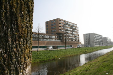 Obraz premium building in the city