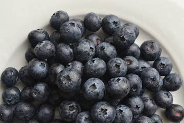 Blueberries - the world's healthiest foods. Contents vitamins, antimicrobial, antipyretic, strengthens the immune system, improves vision, improves digestion, normalizes metabolism.