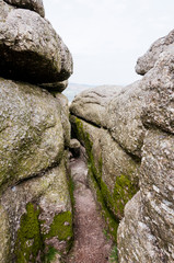 Dartmoor, Devon, Felsen, felsig, Hound Tor, Heidelandschaft, Moor, Frühling, Südengland