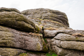 Dartmoor, Devon, Felsen, felsig, Moor, Nationalpark, Heidelandschaft, Frühling, Südengland
