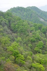 緑の山地