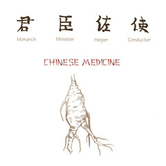 Chinese tea ink pen sketch on white background. Chinese medical tea kettle, plant and herbs. Vector illustration for traditional easten pharmacy and tea party