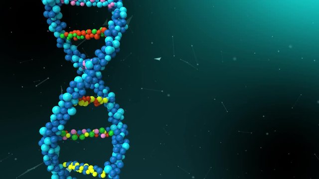 4k Animation DNA