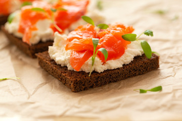 Smoked salmon sandwich with cream cheese close-up. Tasty snack