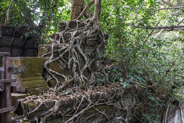 Fototapeta na wymiar Ruins of ancient Beng Mealea Temple over jungle, Cambodia.