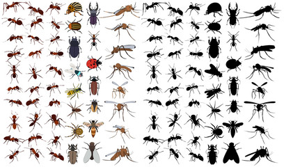 vector, isolated, set of insects, beetles, ants © zolotons