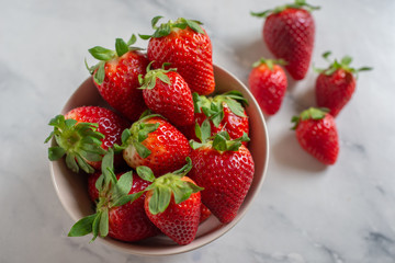 Harvesting organic local strawberries