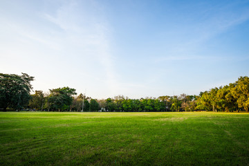 landscape of grass field and green environment public park use as natural background,backdrop