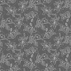Hand drawn seamless pattern
