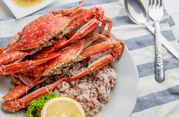 Cooked Steamed red crab on white plate food concept background, top view.