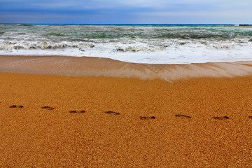 Footprints in sand at the beach