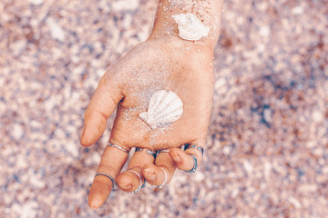 sea shells on woman hand design concept